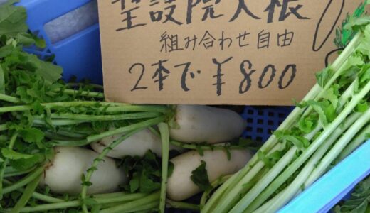 横山先生の、お野菜到着