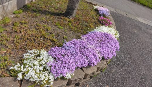 お客様の声 アロマジェル　