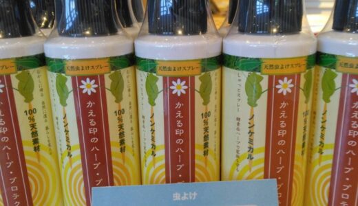 🌹入荷のお知らせ🌹