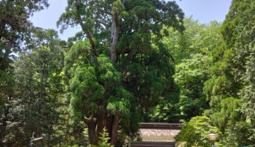 5月25日 来週のエステ・セミナー空き状況とお知らせ
