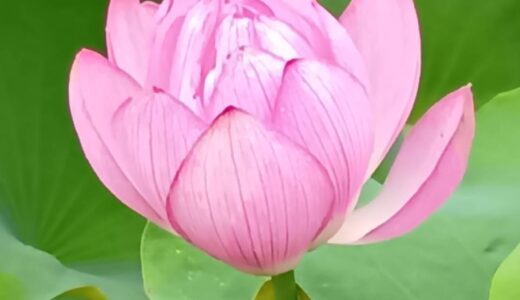 今日から13日(日)まで横山先生の治療日です。