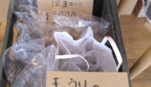 横山先生がにんにく、お味噌、キュウリのきゅうちゃん（お漬物）持って来てくださいました