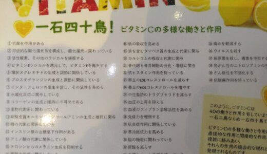 おすすめ商品入荷しました