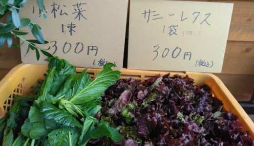 横山先生のお野菜届きました。