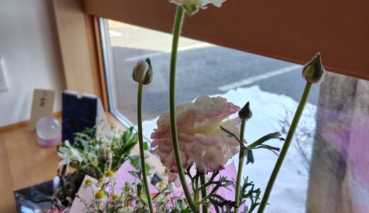 脳と腎臓をいたわるナッツ