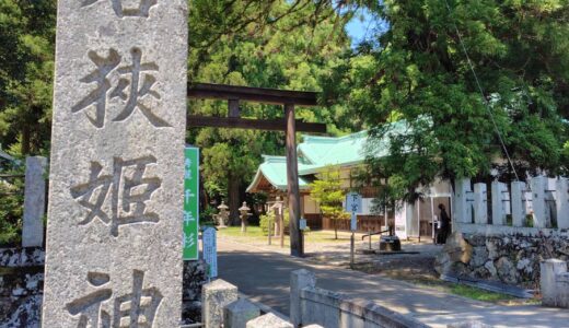 ５月２５日 今週のエステ・セミナー空き状況とお知らせ