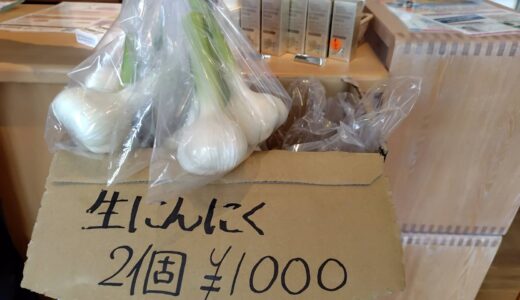 横山先生の、採れたてニンニク🧄🧄🧄届きました👏👏👏