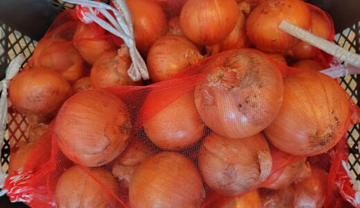 大至急大特急のお知らせです‼️‼️‼️