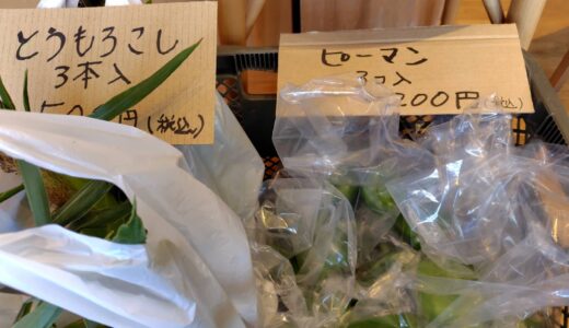 横山先生のとうもろこし🌽ピーマン🫑まだ、ございます。
