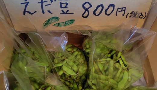 横山先生が、黒豆の枝豆🫛を持って来てくださいました🙆😊